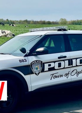 Ogden Police Officer Zachary Young at the Heart of Tumultuous Lawsuit for excess of force